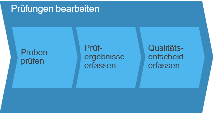 Prüfungen bearbeiten SAP Business ByDesign