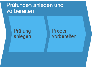 Prüfungen anlegen und vorbereiten SAP Business ByDesign