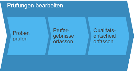 Prüfungen bearbeiten SAP Business ByDesign