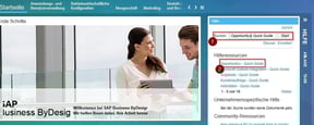 sap-business-bydesign-quick-guides_suchen-1