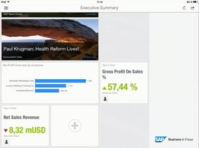 ueberblick-ueber-relevante-informationen-sap-business-in-focus-1