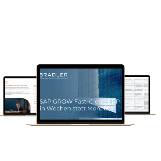 SAP GROW Fast Guide