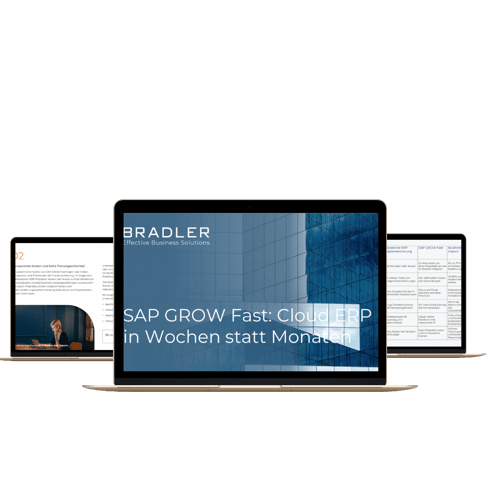 SAP GROW Fast