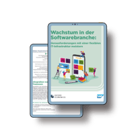Software Lösungen schaffen: Download Whitepaper