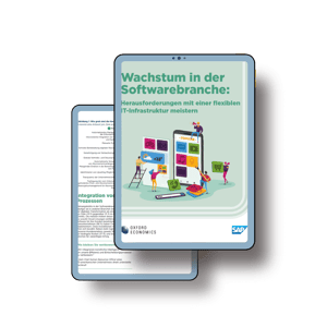 Software Lösungen schaffen: Download Whitepaper