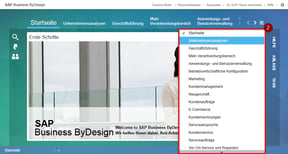 sap-business-bydesign-registerkartenmenue_aufgeklappt