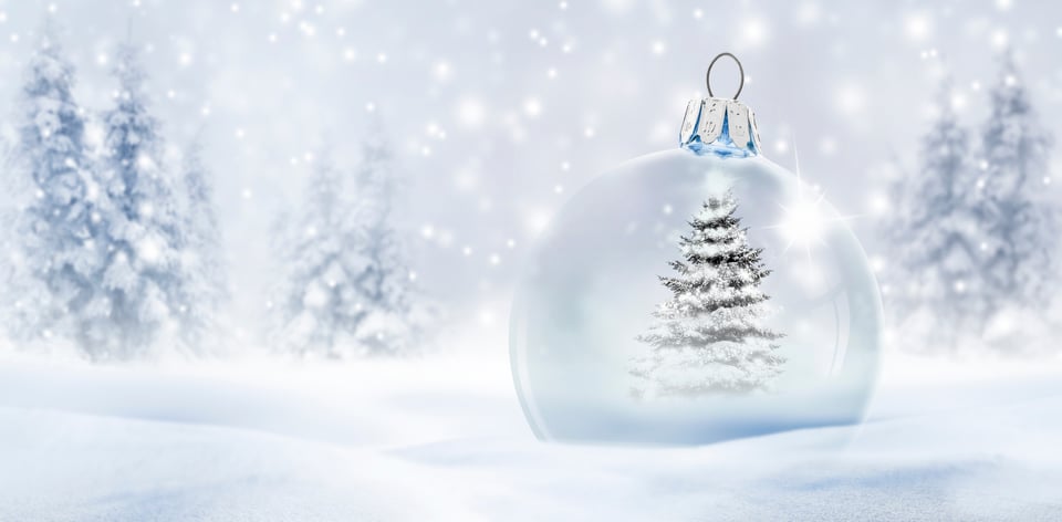 shutterstock_2685310537