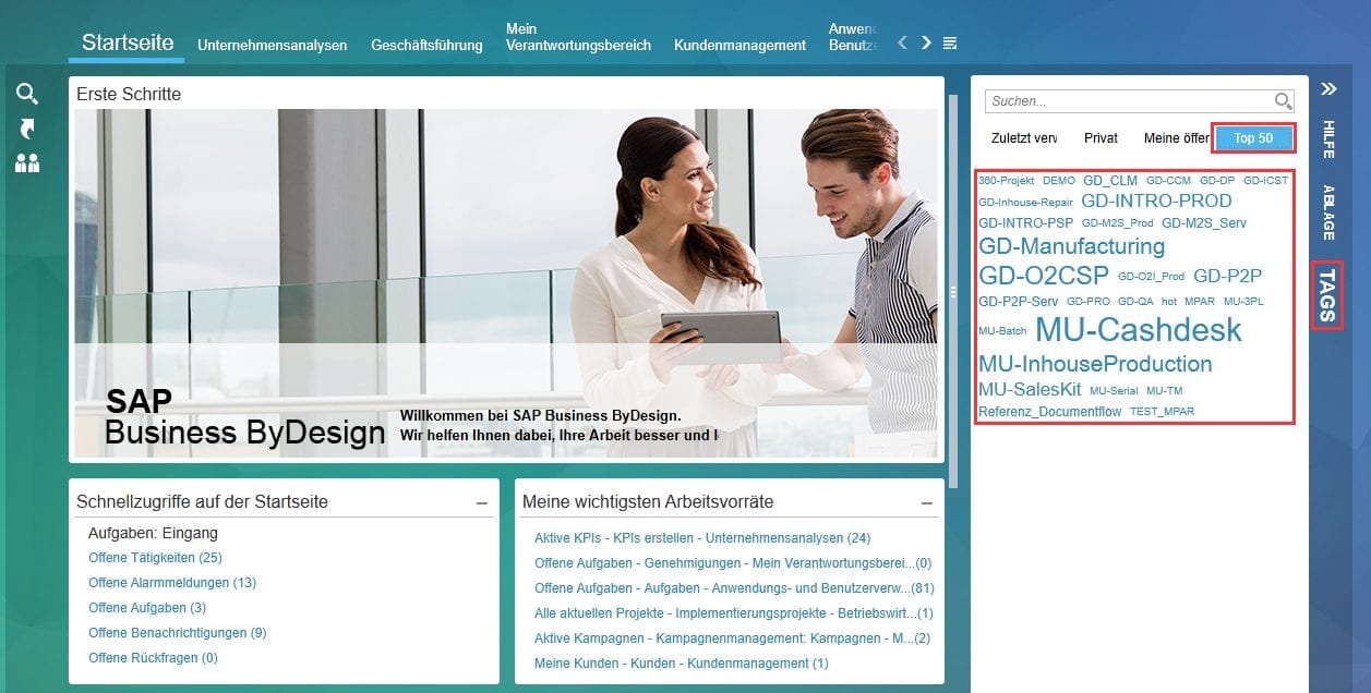 SAP Business ByDesign – Tags