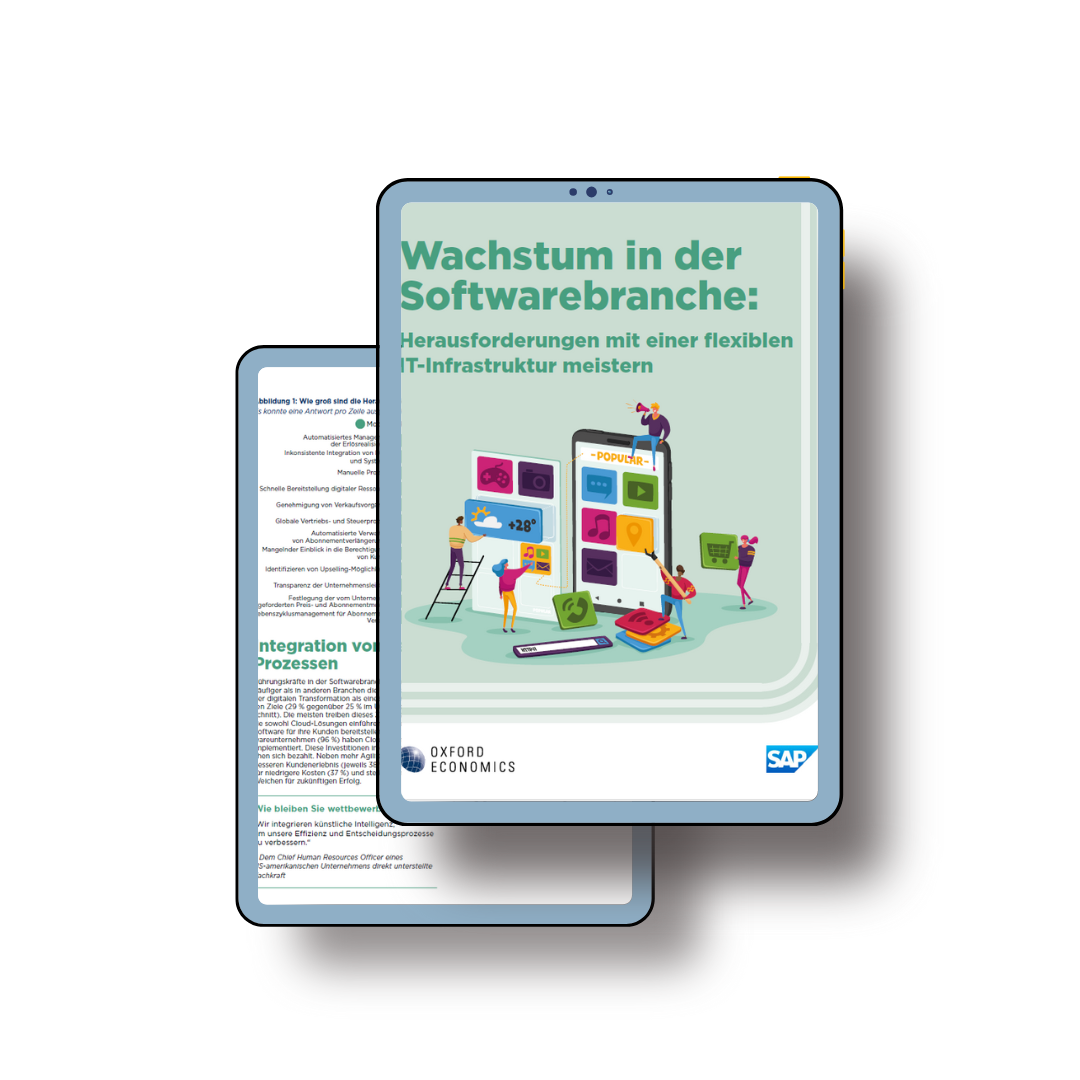 Software Lösungen schaffen: Download Whitepaper