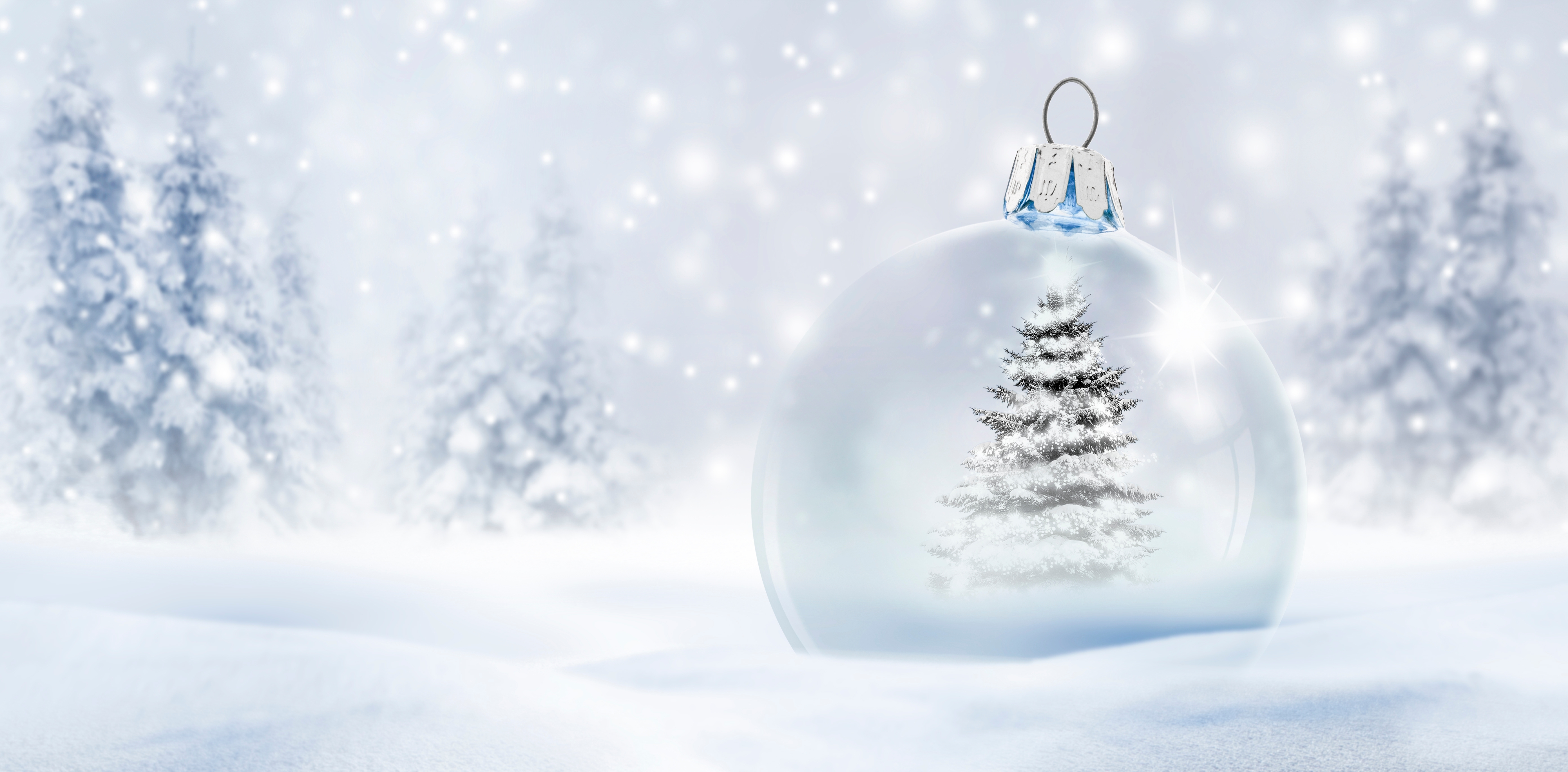 Frohe Weihnachten und ein erfolgreiches neues Jahr 2026